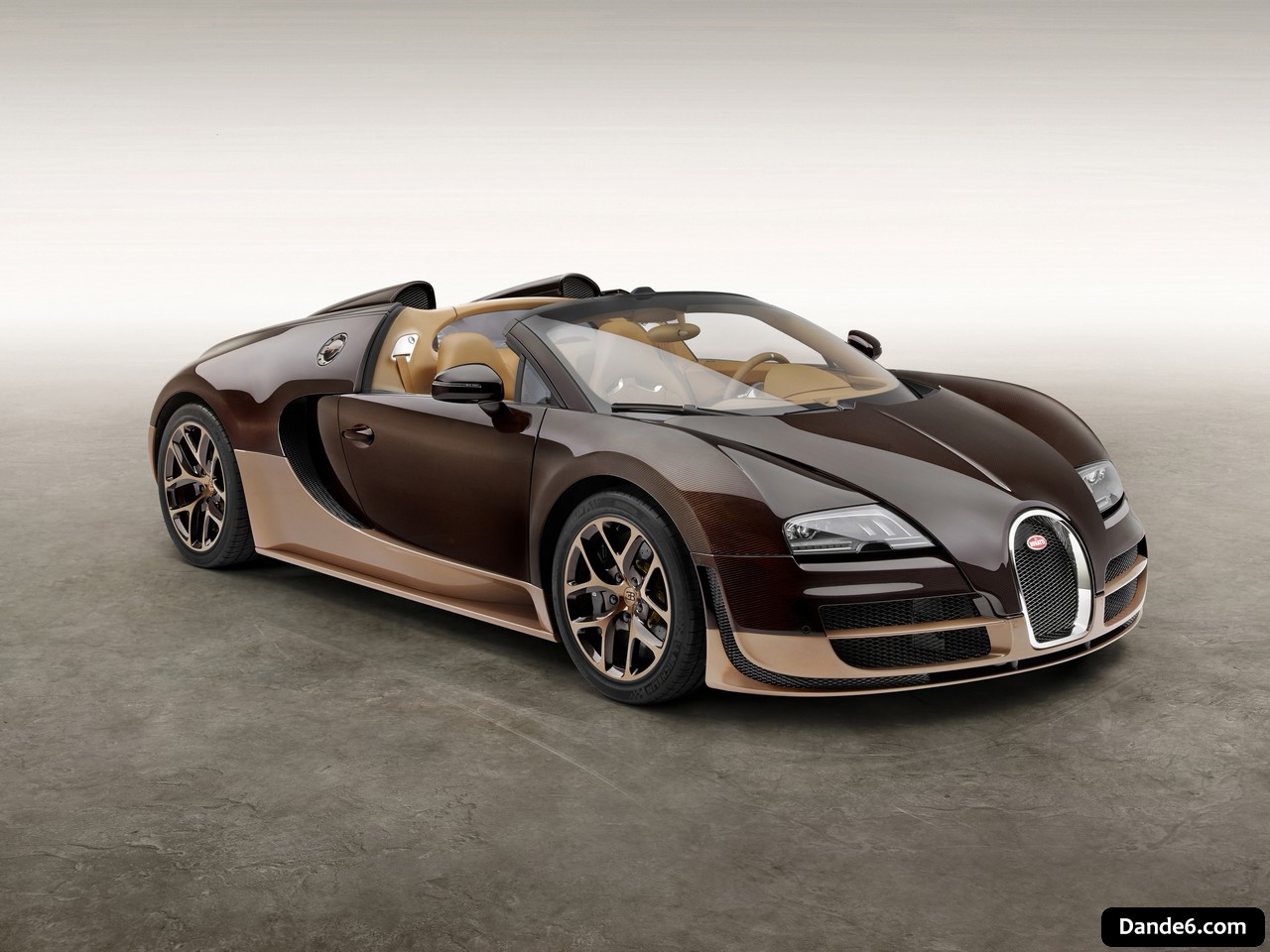 2014 Bugatti Veyron "Rembrandt Bugatti"