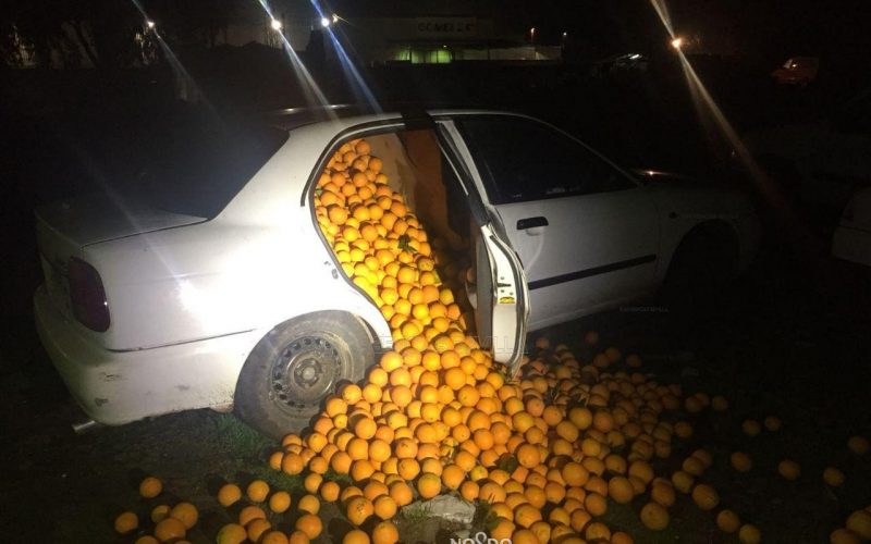 کشف محموله چند تنی پرتقال‌های دزدی در دو ماشین!