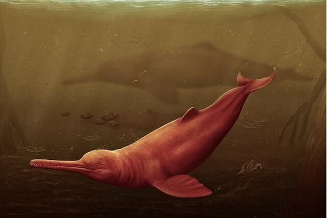 فسیل‌ بزرگ‌ترین دلفین جهان