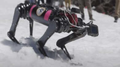 سگ‌های رباتیک