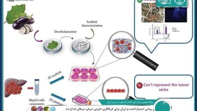 پیشرفت روشی امیدوارکننده و ارزان برای غربالگری دارویی درمان سرطان