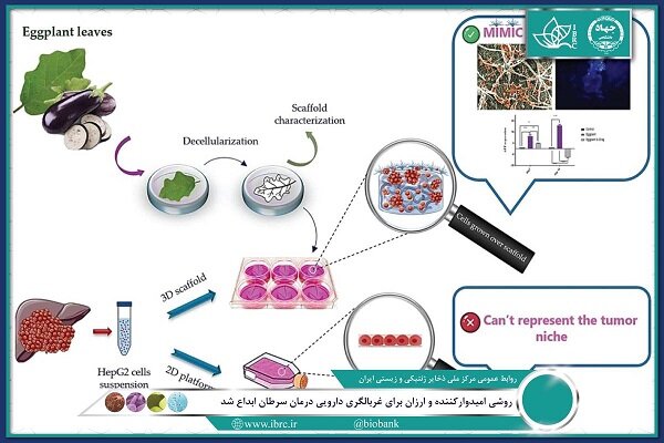 پیشرفت روشی امیدوارکننده و ارزان برای غربالگری دارویی درمان سرطان