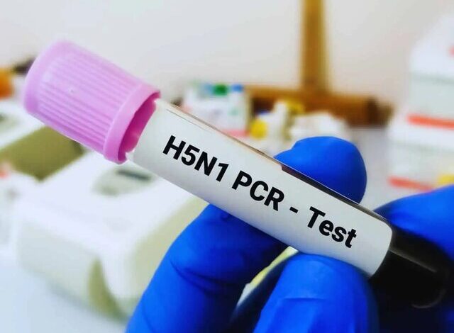 آنفلوانزای پرندگان H5N1