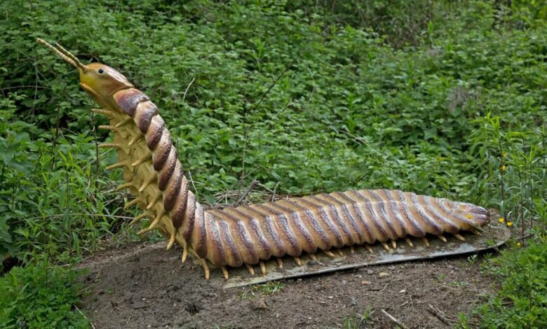 Arthropleura